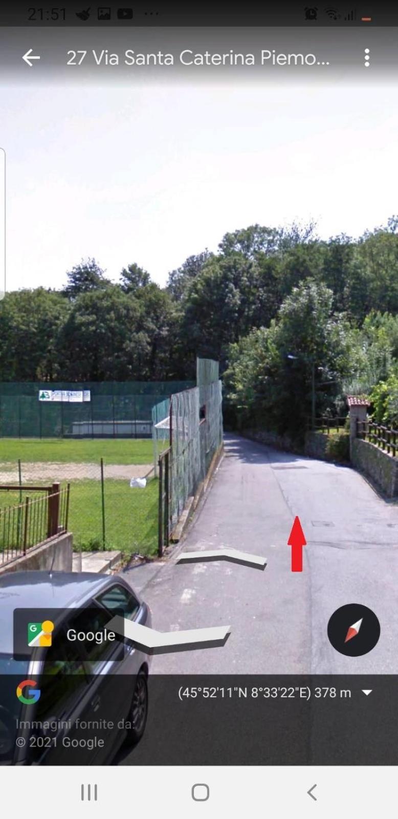 Nel Giardino Di Dafne