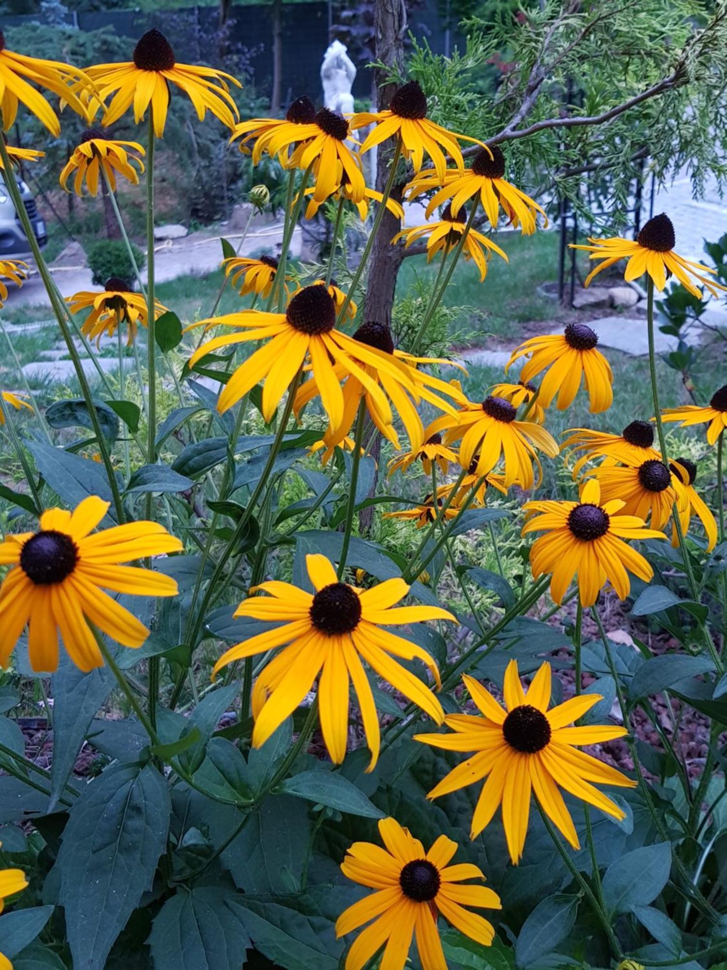 Nel Giardino Di Dafne Bauernhof *